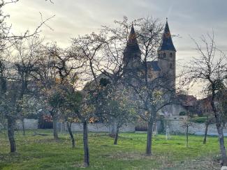 Professor gives opening conference lecture in Germany