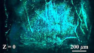 Ultrasonic streams and the implications for COVID-19 infection prevention